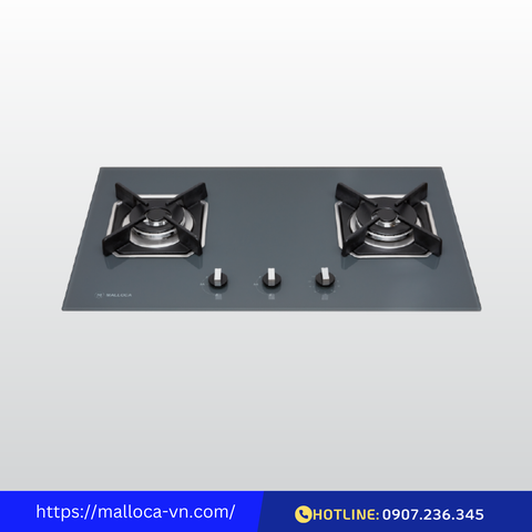 Bếp gas âm 2 gas Malloca AS-9602DG