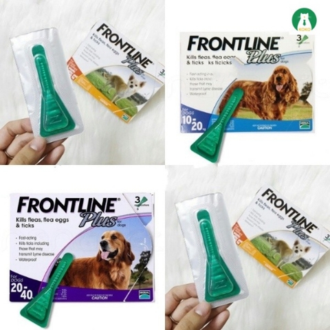 Tuýp nhỏ gáy ve rận cho chó Frontline plus (1 tuýp)