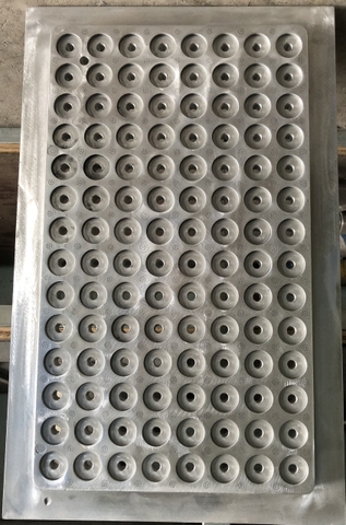 Khuôn mút xốp vỉ trồng cây