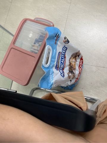 Cát vệ sinh American, Sand Alpha Pet chính hãng