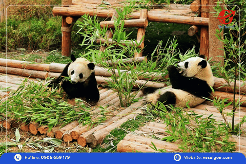 Tour tự túc Thành Đô - Cửu Trại Câu
