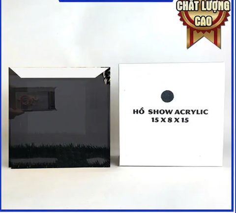 🐟 Hồ Show Acrylic 12x7x12 & 15x8x15 – Bể Show Cá Cảnh Siêu Trong, Chụp Ảnh Đẹp, Chuyên Dùng Cho Guppy, Betta