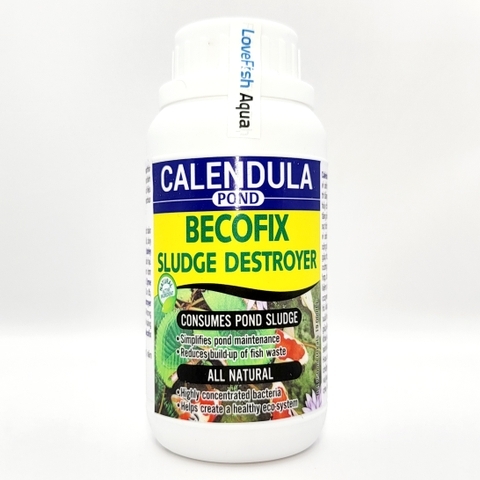 Calendula - Becofix Sludge Destroyer - Vi sinh cộng sinh bể nước ngọt & mặn