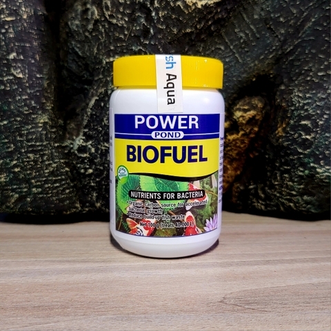 Power - Biofuel - Thức ăn vi sinh