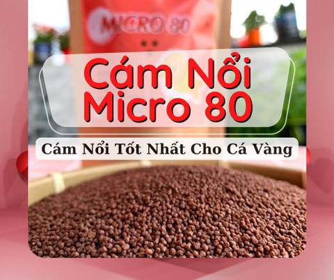 CÁM NỔI MICRO 80, HẠT NỔI 0,8MM