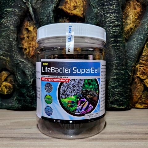 Lifebacter - SuperBall - Bioball vòng sứ cho vi sinh dị dưỡng