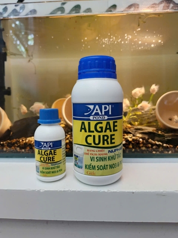 🌿 API Algae Cure 100mL | 500mL – Vi Sinh Kiểm Soát Tảo, Làm Trong Nước, Hỗ Trợ Giảm NO₃ & PO₄ Cho Hồ Cá