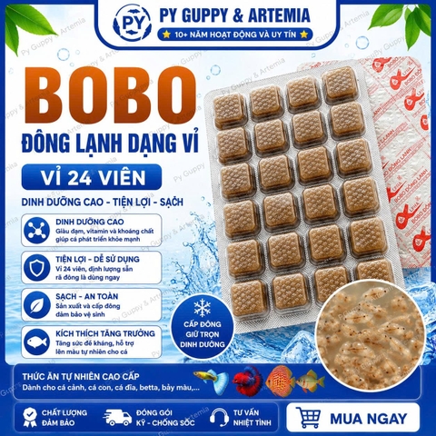 BOBO ĐÔNG LẠNH DẠNG VỈ 24 VIÊN CHO CÁ CẢNH
