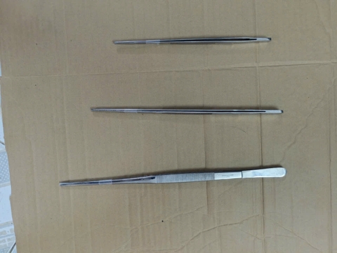 Cây Nhíp Thủy Sinh Inox 20cm | 25cm | 30cm – Dụng Cụ Gắp Cây, Rêu, Đá Trang Trí Hồ Thủy Sinh Chuyên Nghiệp