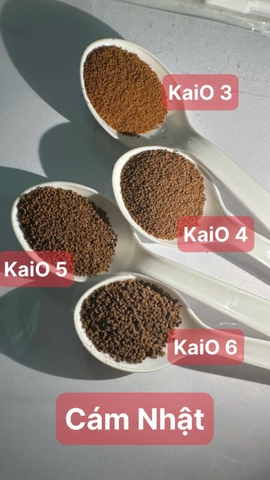 🐟 TỔNG HỢP TẤT CẢ CÁM KAIO 3 – 4 – 5 – 6 CAO CẤP CHO CÁ CẢNH🐟