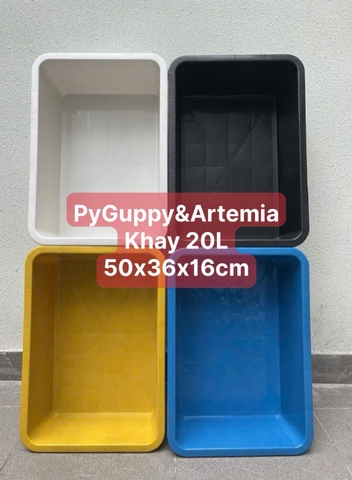 Khay Nhựa 20 Lít Nhiều Màu Nuôi Cá , Khay Ép Cá Kích Thước 50x36x16 cm