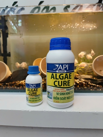 🌿 API Algae Cure 100mL | 500mL – Vi Sinh Kiểm Soát Tảo, Làm Trong Nước, Hỗ Trợ Giảm NO₃ & PO₄ Cho Hồ Cá