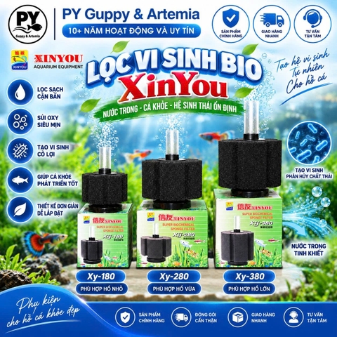 Lọc vi Sinh Xinyu 180 Xinyu 280 Xinyu 380