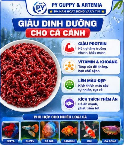Trùn Huyết Đông Lạnh Dạng Viên Vỉ 24 Viên Cho Cá Cảnh - Thức ĂnTiện Lợi Giàu Dinh Dưỡng