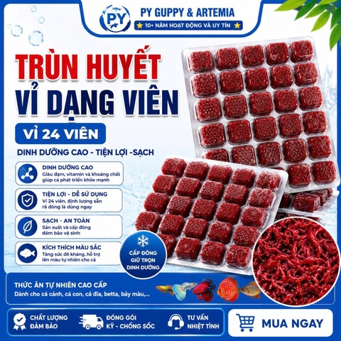 Trùn Huyết Đông Lạnh Dạng Viên Vỉ 24 Viên Cho Cá Cảnh - Thức ĂnTiện Lợi Giàu Dinh Dưỡng