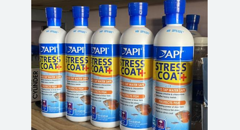 Stress Coat API - dưỡng cá khỏe, khử clo và độc tố