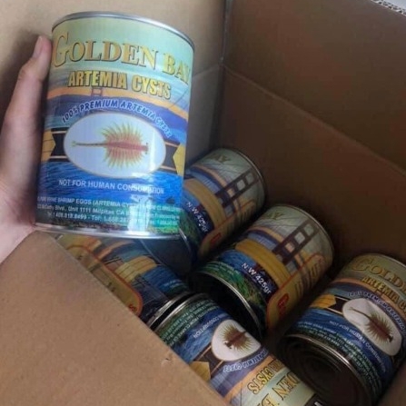 Trứng Artemia Mỹ Golden Bay ( TLN 80% )