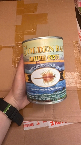 Trứng Artemia Mỹ Golden Bay ( TLN 80% )