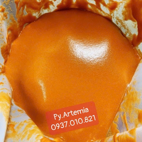Trứng Artemia Mỹ White Mountain Great Salt Lake USA ( TLN 80% )