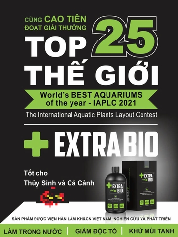 GIÁ SỈ - Vi Sinh EXTRA BIO Vi Sinh Sống Thế Hệ Mới (chai 250ml)