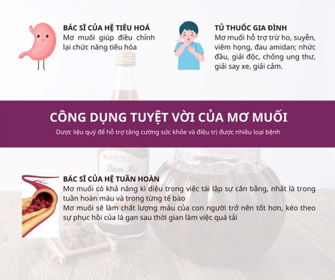 Dấm Mơ Muối Lâu Năm - LTT