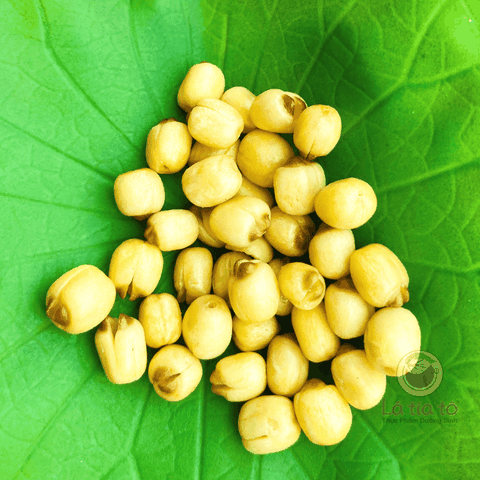 Hạt Sen Sấy Giòn - LTT