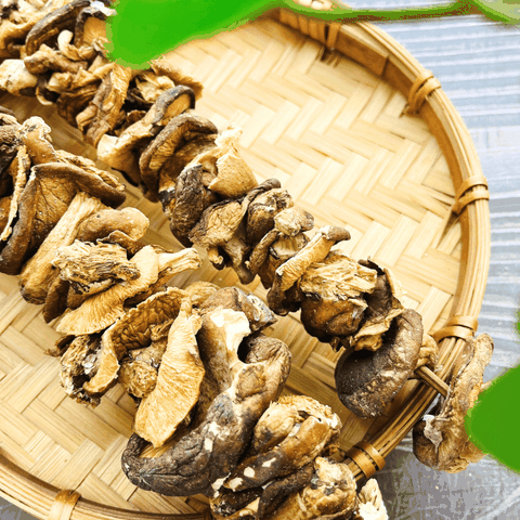 Nấm Hương Rừng Bắc Kạn - LTT