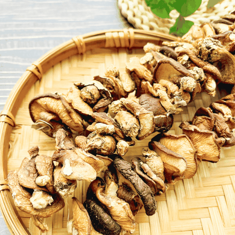 Nấm Hương Rừng Bắc Kạn - LTT