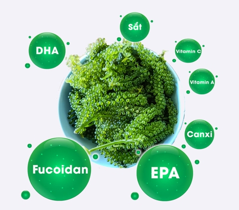 Rong Nho Tách Nước Trường Thọ - Hộp 5 Gói 35gr