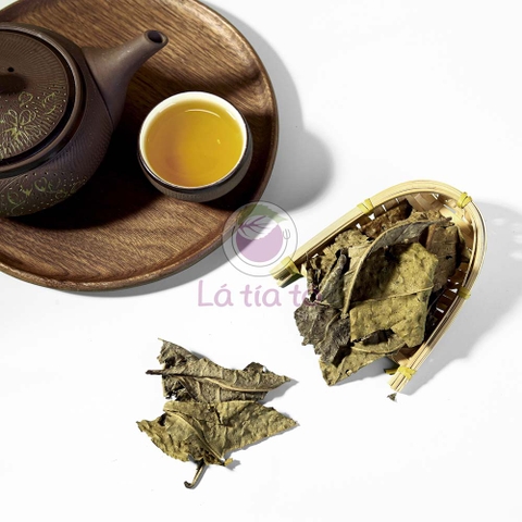 Trà Bancha 3 năm - LTT