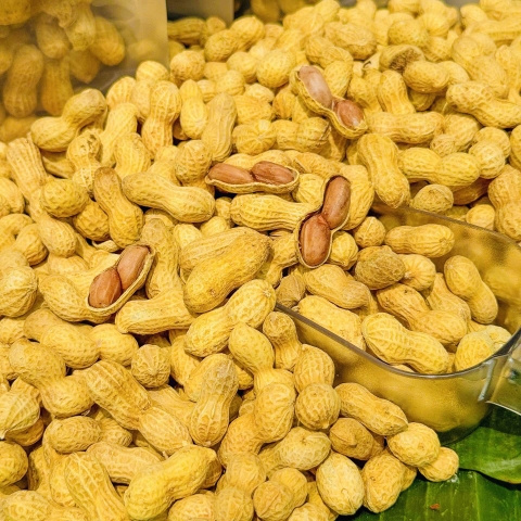 Đậu Phộng Sấy Nguyên Vỏ Vị Sữa 500gr