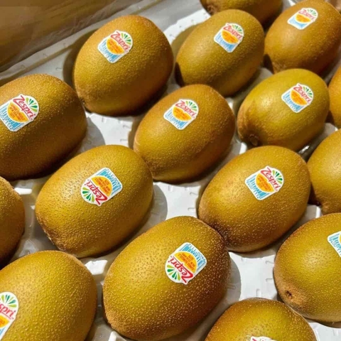 Kiwi vàng New Zealand: Siêu quả thơm ngon, dinh dưỡng cao, mang đến sức khỏe vàng