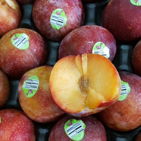 Mận Đỏ Mỹ: Trái Cây Nhập Khẩu 'Hot' Nhất Hiện Nay