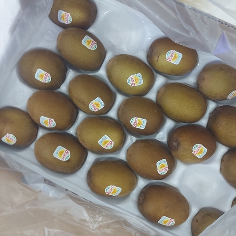 Kiwi vàng sungold Pháp