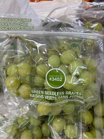 Nho xanh Autumncrisp Chile