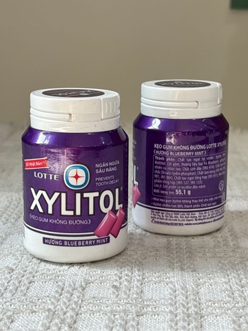 Kẹo Gum Không Đường Lotte Xylitol Hương Việt Quất 55,1g