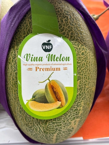 Dưa lưới Vina Melon Premium