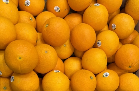 Cam vàng Navel MFC Lane Úc