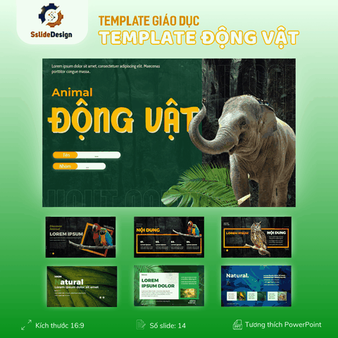 GD19 - Thế giới Động vật