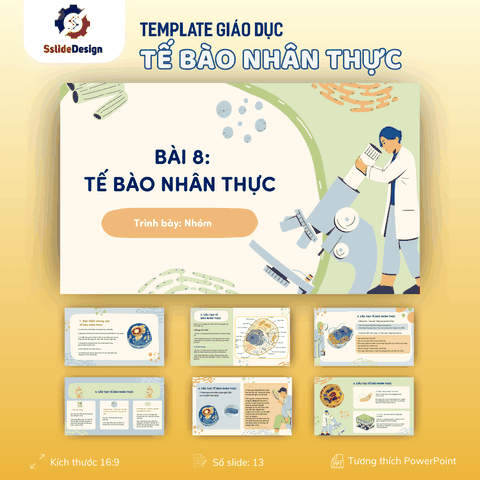 GD26 - Tế bào nhân thực