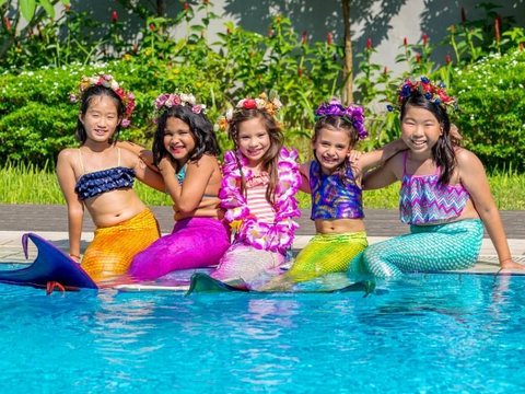 Giáo trình học làm thầy nàng tiên cá PADI