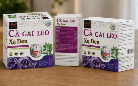(Mua Sỉ Liên Hệ Zalo) Viên uống bổ gan Cà Gai Leo Xạ Đen Hộp Tím giúp thanh nhiệt, giải độc gan hộp 100 viên