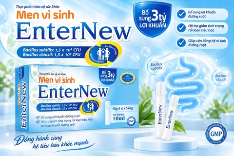 (Mua Sỉ Liên Hệ Zalo) Men Vi Sinh Enter New giúp bổ sung lợi khuẩn đường ruột giảm rối loạn tiêu hóa hộp 20 ống
