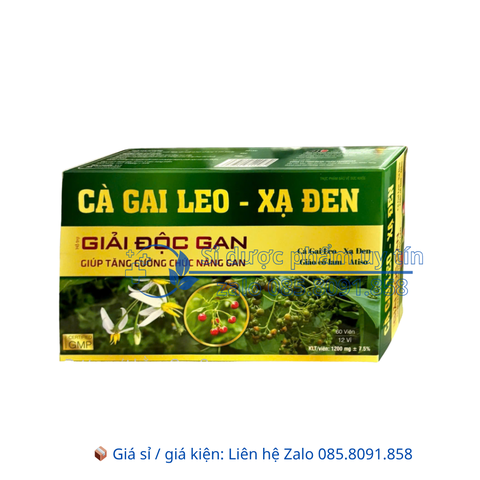 Viên uống Giải Độc Gan Cà Gai Leo – Xạ Đen giúp thanh nhiệt, giải độc gan và bảo vệ gan hộp 60 viên