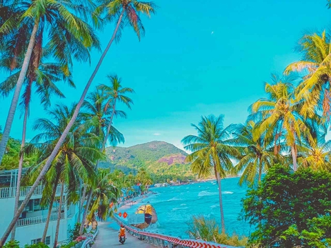 Tour Đảo Hòn Sơn