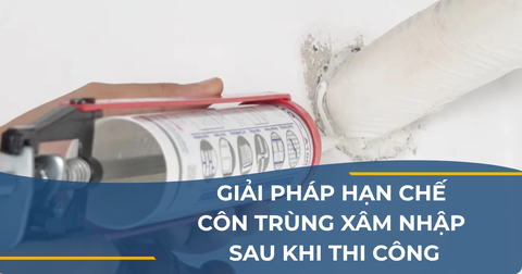 GIẢI PHÁP HẠN CHẾ CÔN TRÙNG XÂM NHẬP PHÒNG KARAOKE SAU KHI THI CÔNG