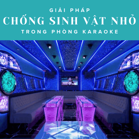 GIẢI PHÁP HẠN CHẾ CÔN TRÙNG XÂM NHẬP PHÒNG KARAOKE SAU KHI THI CÔNG