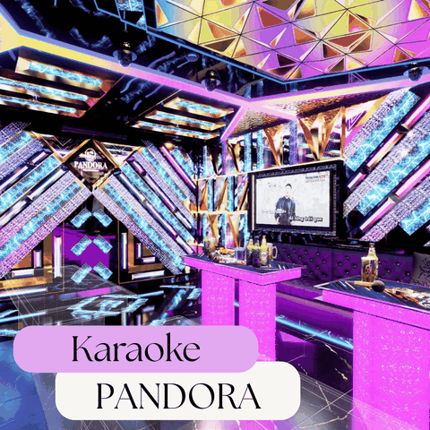 THI CÔNG PHÒNG KARAOKE PANDORA – DỰ ÁN NỔI BẬT VỚI PHONG CÁCH HIỆN ĐẠI