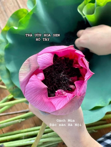 Trà ướp hoa Sen khô Hồ Tây (1 hộp/2bông)