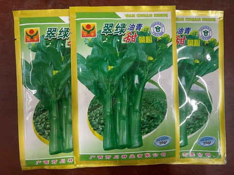 Hạt giống cải ngồng GRQ 226